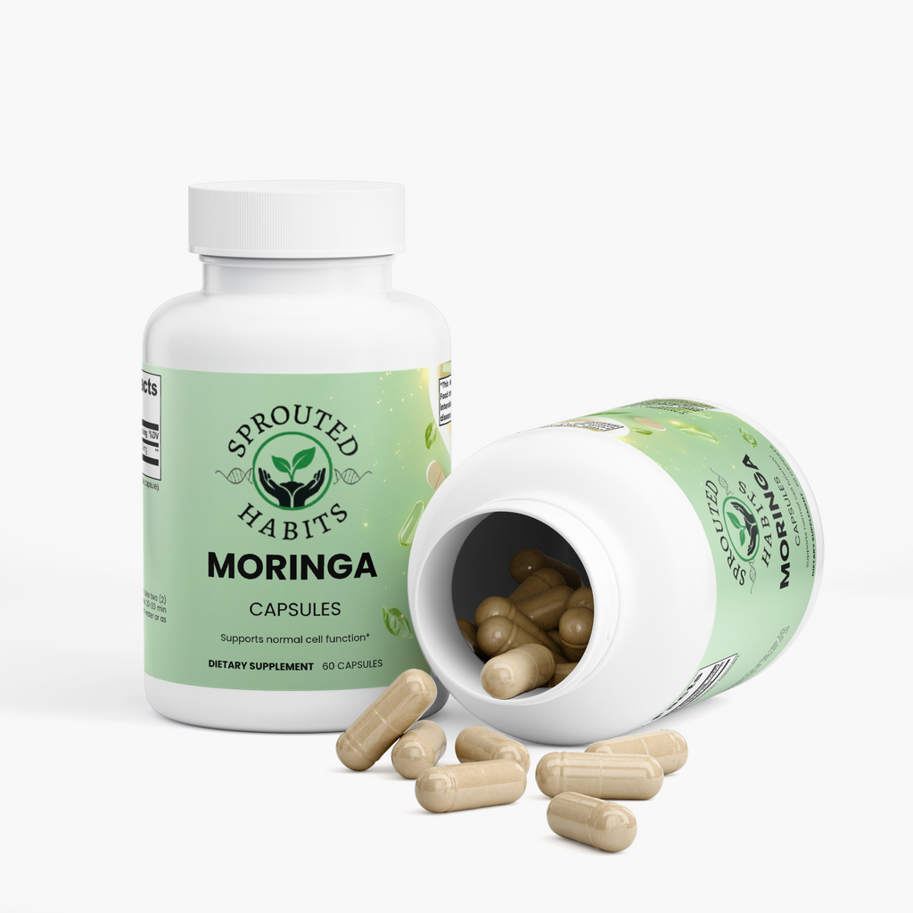 Moringa Superfood Capsules – Daily Greens & Nutrient Boost